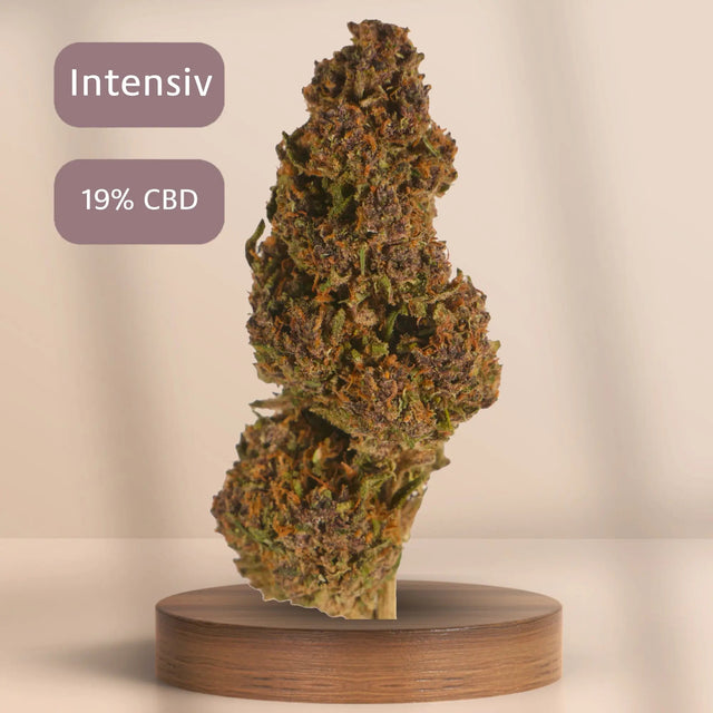 Grape Soda CBD Blüte 0,0% THC