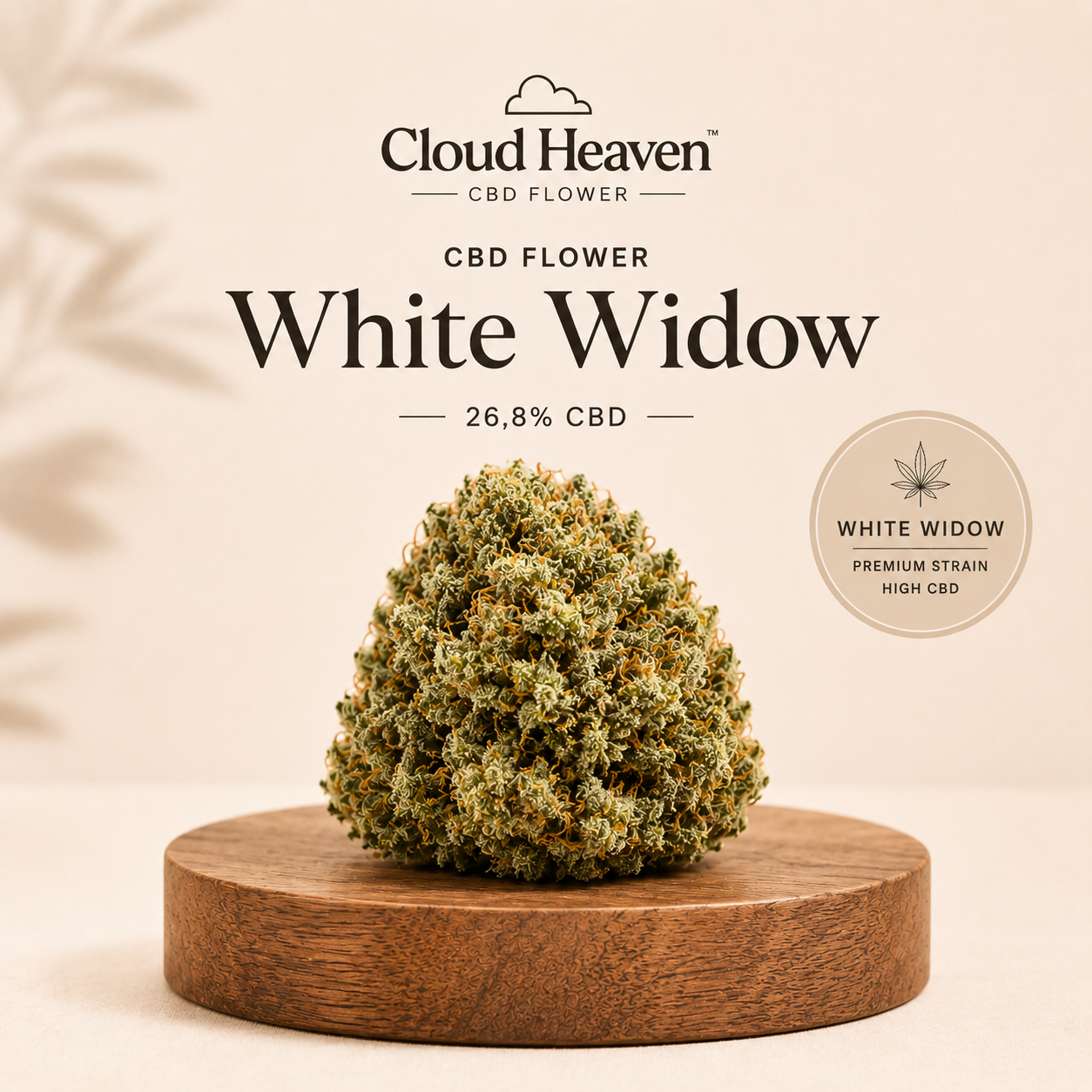 Cloud Heaven CBD Blüten White Widow
